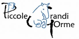 Piccole grandi orme